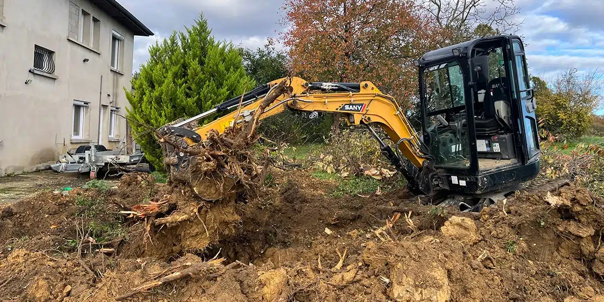 service abbatage arbres