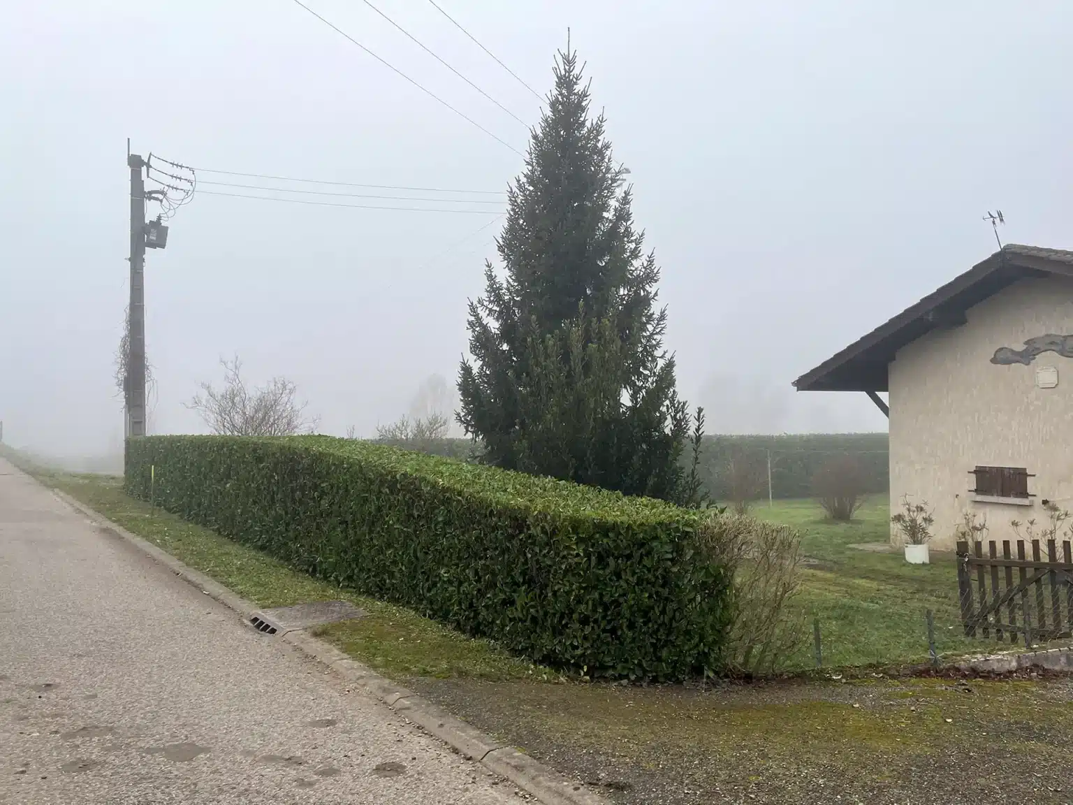 entretien haie 01